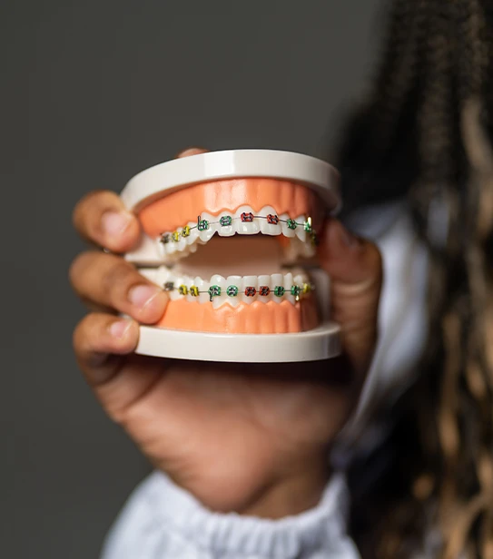 A dental professional in blue gloves holding an anatomical cross-section model of a dental implant alongside healthy natural tooth roots.